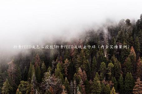 抖音FEED流怎么投放?抖音FEED流玩法介紹（內(nèi)含實操案例）